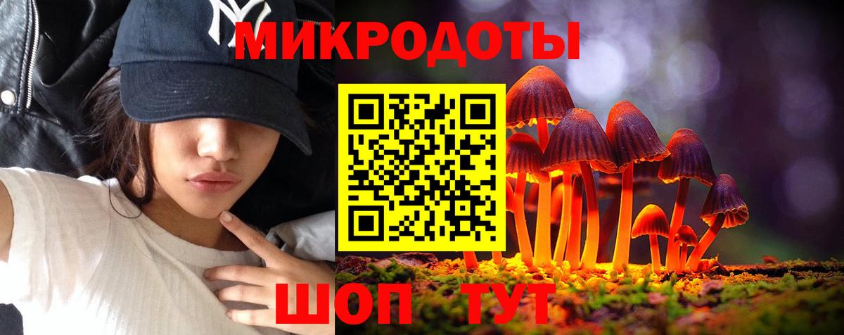 Псилоцибиновые грибы Psilocybine cubensis  Галлюциногенные грибы MAGIC MUSHROOMS  Вход с VPN  Сызрань 